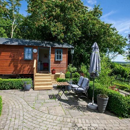 Holly Hut Shepherds Hut Jenkinstown Park المظهر الخارجي الصورة