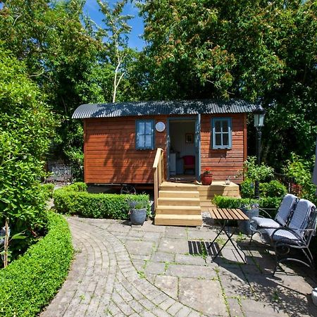 Holly Hut Shepherds Hut Jenkinstown Park المظهر الخارجي الصورة
