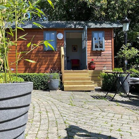 Holly Hut Shepherds Hut Jenkinstown Park المظهر الخارجي الصورة