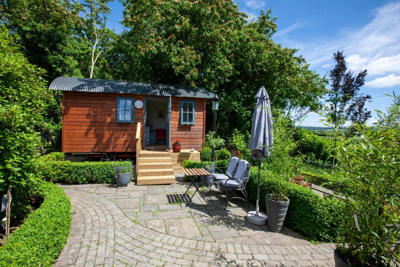 Holly Hut Shepherds Hut Jenkinstown Park المظهر الخارجي الصورة