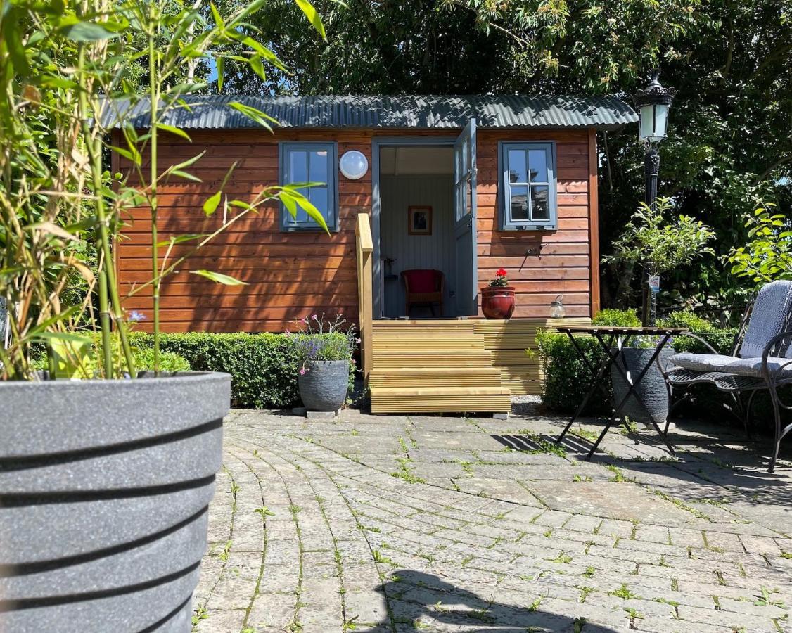 Holly Hut Shepherds Hut Jenkinstown Park المظهر الخارجي الصورة