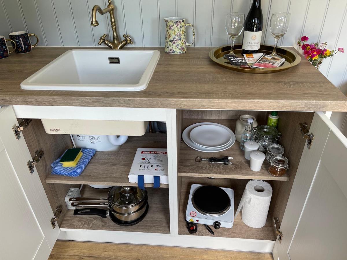 Holly Hut Shepherds Hut Jenkinstown Park المظهر الخارجي الصورة