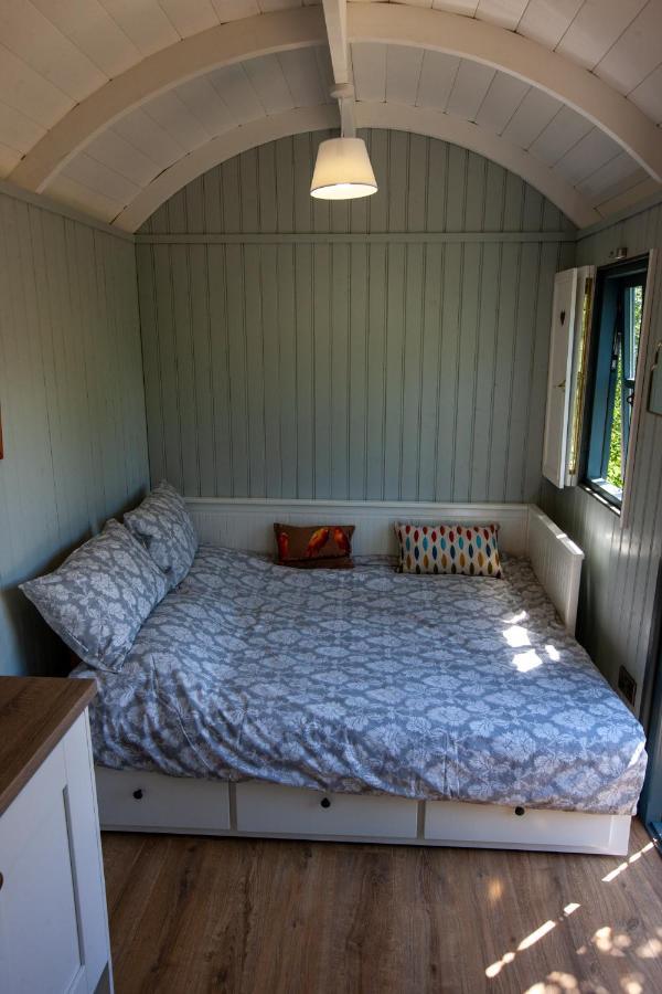 Holly Hut Shepherds Hut Jenkinstown Park المظهر الخارجي الصورة